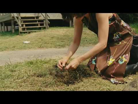 Happy Tears - Trailer