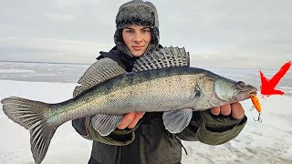 ОДЕЛ ЭТОТ ВИБ И НАЧАЛИ ЛУПИТЬ СУДАКИ! ЛОВЛЯ СУДАКА ЗИМОЙ НА ВИБЫ. Зимняя рыбалка 2022