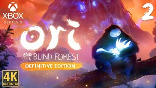 Ori Blind and Forest Definitive Edition XBOX SERIES X Прохождение #2 4K