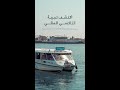 Water Taxi مركبات الأجرة المائية 
