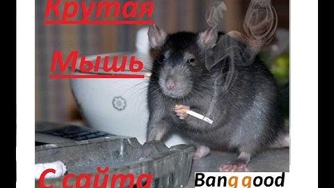 Крутая оптическая мышь. С сайта Banggood.