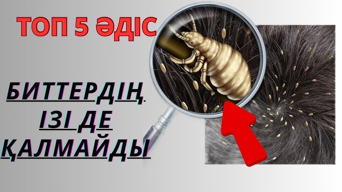 Порно фильм монахтар