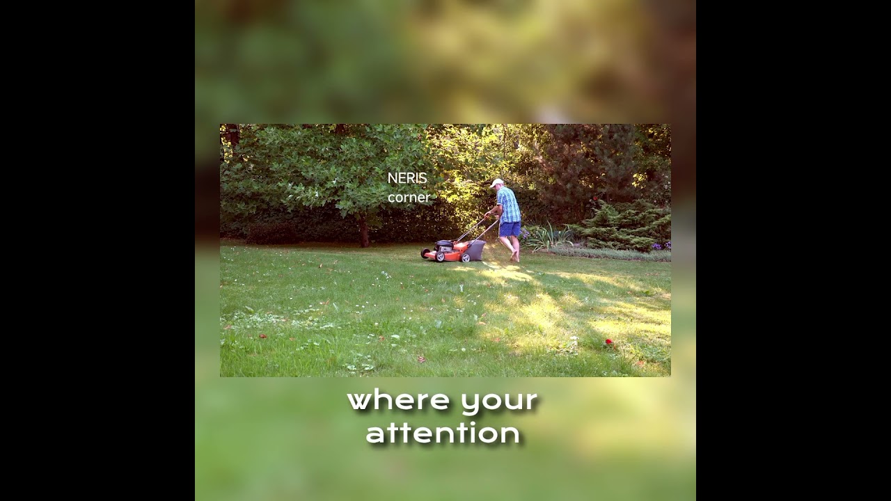 08-02-2026 | morning with NƐ尺ɪ&Lambda;н | NERIS CORNER