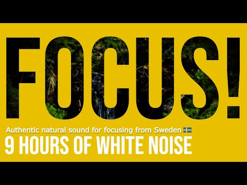 Focus Sound — White Noise from Sweden: Lofsdalen