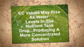 How often to change nutrient solution? | Hydroponics Halifax