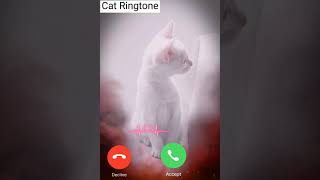 Download Lagu Cat Ringtone Massag Ringtone || Phone Ringthone || 🥰 Call Ringtone || SMS #Shorts Video MP3