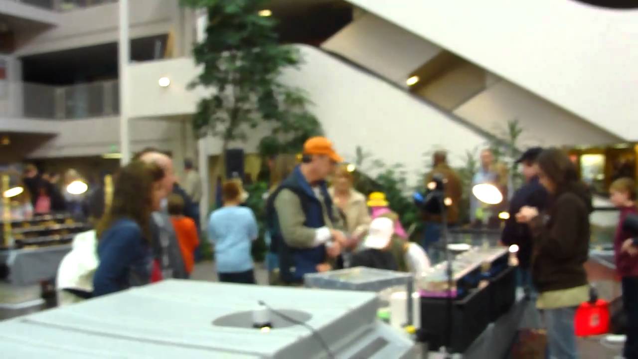 pets bd Rocky Mountain Reptile Expo 11-13-2010 part 5