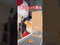 【声真似】キノピオ×アンパンマン協力できるのか?#声真似 #short #任天堂 #Nintendo #アンパンマン #TikTok #fyp #おすすめ #はたのあいか #キノピオ
