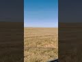 Steppe In Kalmykia Shorts Shortsvideo Travel 