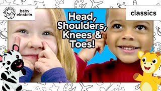 Head, Shoulders, Knees & Toes! | Baby Da Vinci | Learning Show for Toddlers | Kids Cartoons by Baby Einstein 41,347 views 1 month ago 41 minutes