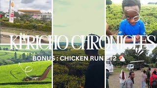 Kericho Chronicles: Tea Fields &amp; Chicken Run pt2 🐔🍃(+bloopers 👅)