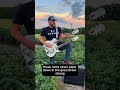 Out of State Plates is out now- what you like better: pop up video or lyrics? #shorts #countrymusic