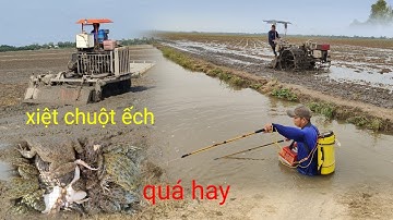 xiệt chuột ếch đồng bơm nước chuẩn bị xạ lúa quá hay 