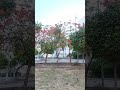 good Morning #pharmapath # viral video # Viral Short video