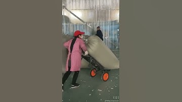 Truck Loader and Unloader for boxes and bags