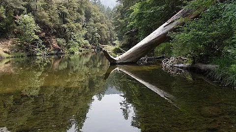 The Secret Life of a Raindrop - KQED QUEST