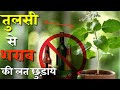        tulsi se sharab chhudane ke upay  srq minds