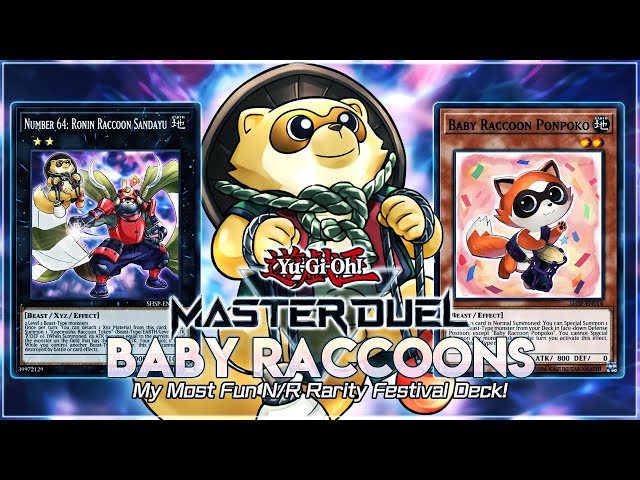 [Yu-Gi-Oh! Master Duel] BABY RACCOONS Are The MOST FUN N/R Rarity Festival Deck!