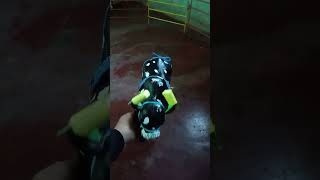 Calando Toros Nuevos