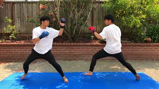 Kumite Tips: Basic Counter to Jab & the Jab Reverse Punch (TEST VIDEO)