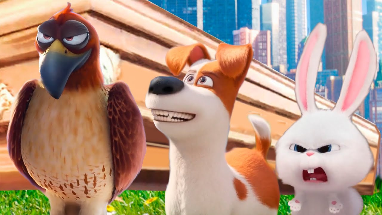 Secret Life of Pets Movie 2 - Coffin Dance Song [COVER] - YouTube