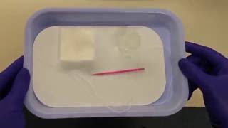 Silver Diamine Fluoride Tray Setup