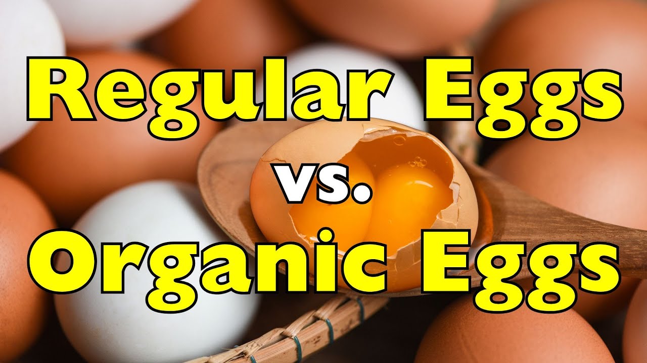 Обычные яйца против органических: что на самом деле внутри?