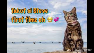 Steve pasyal sa tabing dagat 🏝🌊💚 by Steve the puspin 1,422 views 2 years ago 7 minutes, 28 seconds