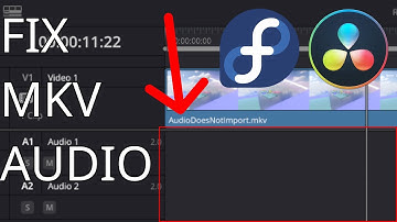 Fix MKV Audio Import Davinci Resolve Studio - Linux Issue