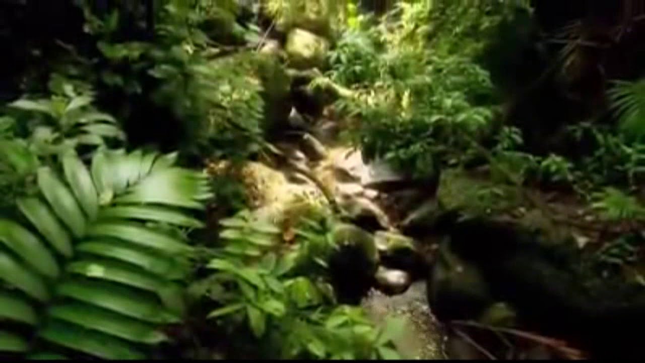 (هذا خلق الله) قراءة رائعة للشيخ المنشاوي