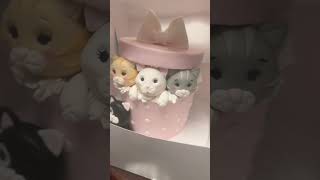 Cats cute cake
