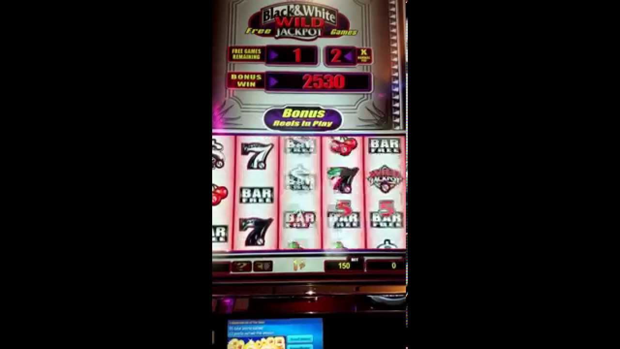 Cruise Ship Slot Winners Cruise Ship Slot Winners