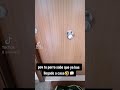 pov tu perro sabe que ya has llegado a casa🤣🗯️ #shorts #funny #animals