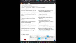 #WXP#W11#Linux#BlackBelt WASTE - ipv4 / Tor / i2p + AI + VoIP 1.8 Construction 380