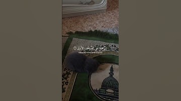 قد أفلح من تزكى * وذكر اسم ربه فصلى_تلاوة عبد الرحمن مسعد _قرآن #قران كريم