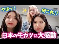 【LE SSERAFIM】日本のグルメが美味しすぎて大喜びのルセラフィム【日本語字幕】