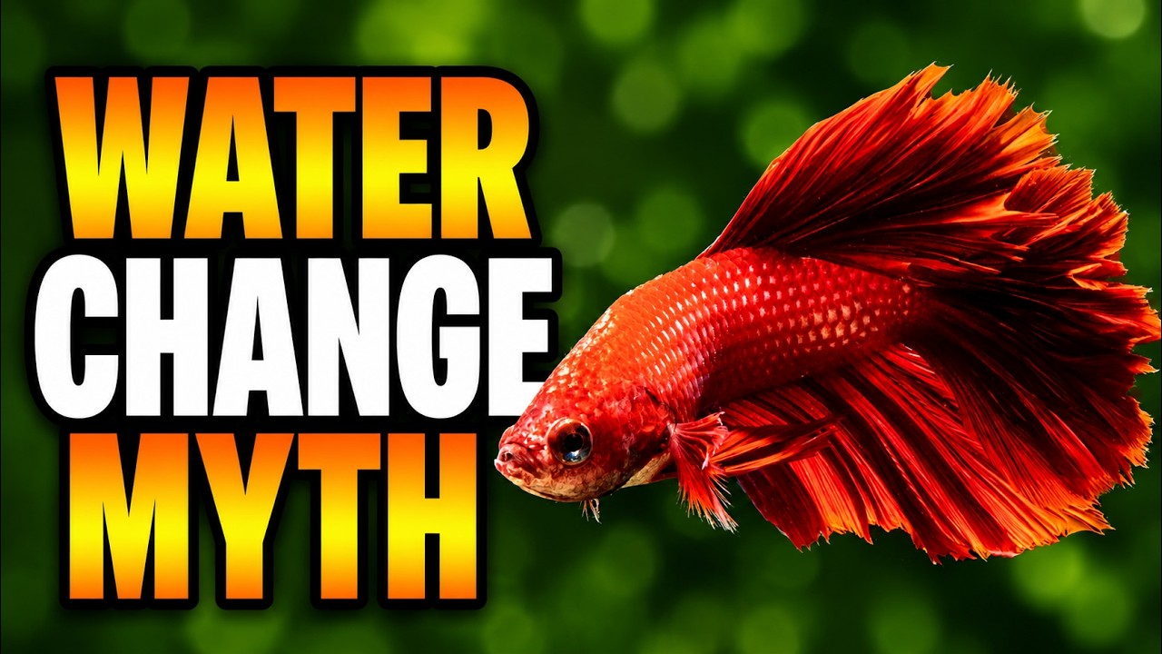 Everything You Know About Natural Water Changes Is Wrong!