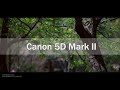 'holiday' Canon 5D Mark II Cinematic