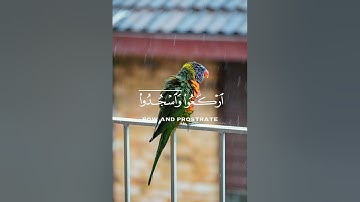 "أقوى تلاوة خاشعة تهدئ الأعصاب وتُريح القلب! (ستبكيك) 😢❤️"