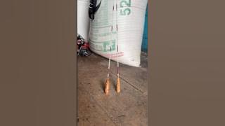 Fishing for wader fish #fishing #short