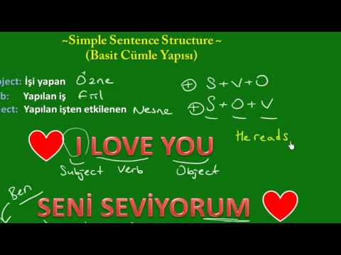 53- Simple Sentence Structure (Basit Cümle Yapısı)