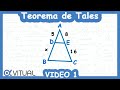 Teorema de Tales | Video 1 de 3 | Geometría y trigonometría - Vitual