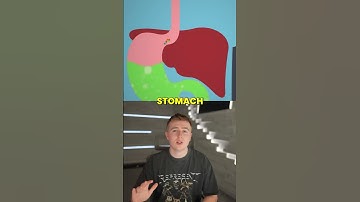 10 Common Misconceptions Corrected #Shorts