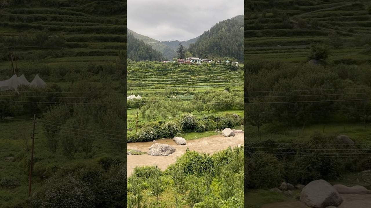 Heavy rainfall in Himachal || Mandi Himachal Pradesh || nature