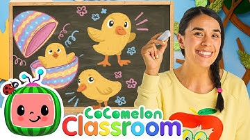 Count Little Ducks with Ms. Appleberry | Toddler Learning Videos | CoComelon Classroom For Kids