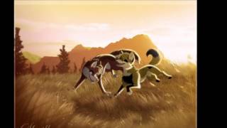 Anime Wolves - Superhero