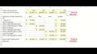 Managerial Accounting  - Chapter 8 Practice Budget Video 2  - 2025