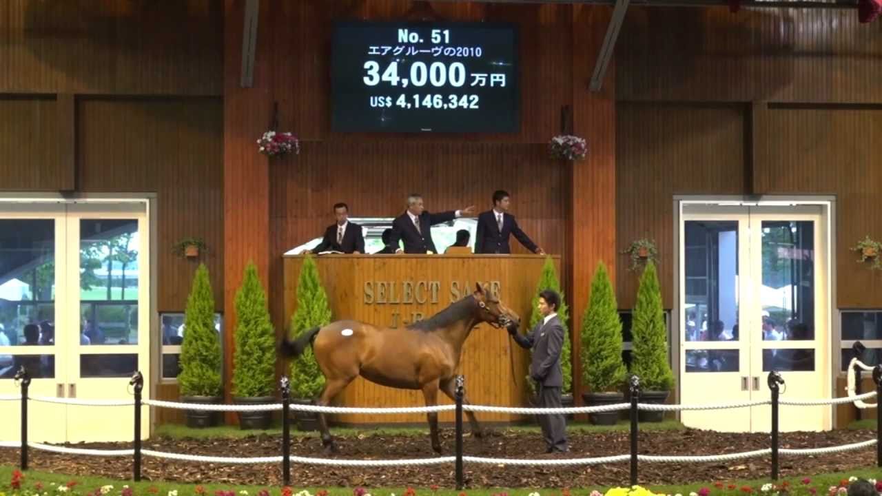 セレクトセール2012 セレクトセール2012(一歳＆当歳)】の上場馬名簿が完成