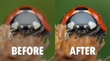 My Full Macro Photography Editing Workflow