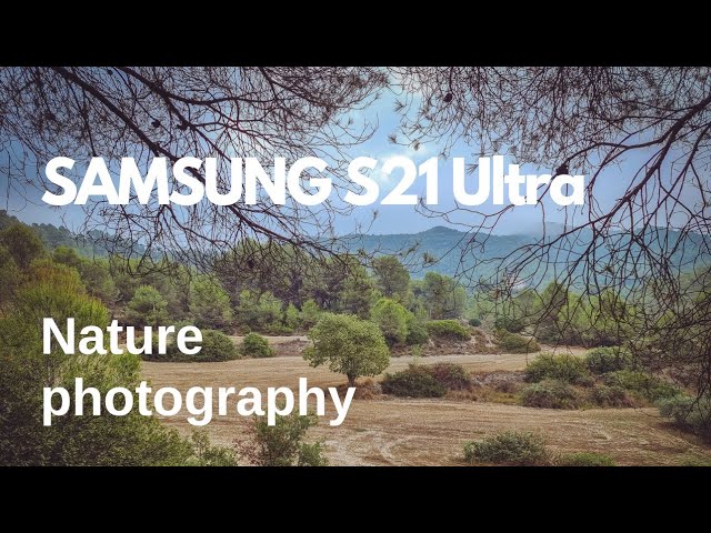 Samsung Galaxy S21 Ultra camera review - Amateur Photographer